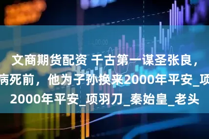 文商期货配资 千古第一谋圣张良，有多牛？刘邦病死前，他为子孙换来2000年平安_项羽刀_秦始皇_老头